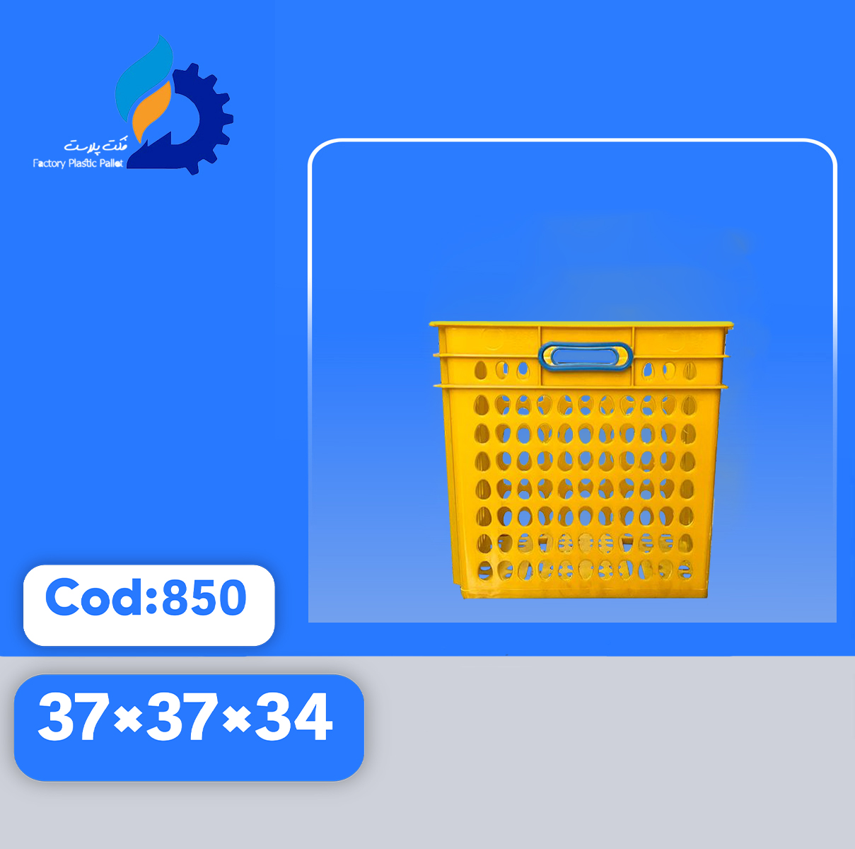 سبد حمل تخم مرغ کد 850